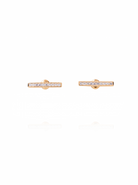 Gold Frame Earrings
